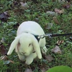 Lets Change The World