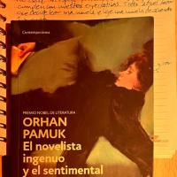 El novelista ingenuo y sentimental 