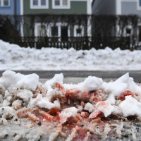 Allt fler mordåtalade frias