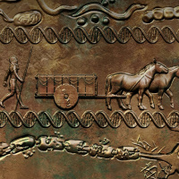 Jordbruksrevolutionen som lade grunden för det moderna samhället