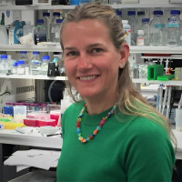 Hon odlar hjärnor i miniformat