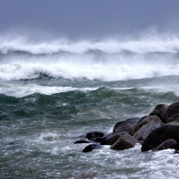 Golfströmmen – så påverkas den av uppvärmningen