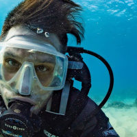 Synforskarens dröm gick i uppfyllelse – tack vare film på internet