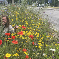 Längsta blomsterängen - gör både bin och människor lyckliga