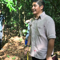 Återplanterad regnskog öppnar för ny forskning