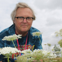 Krislåda med vilda växter ska rusta oss mot matbrist