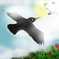 Svarta Lilla Koltrast, del 1: Den längsta resan någonsin