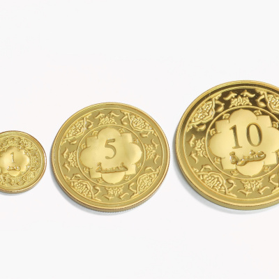 Islamske Finansije I Poslovanje - Almir Olan (bih)