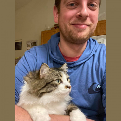 Voice Of The Rebellion