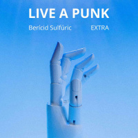 EXTRA - Live a punk