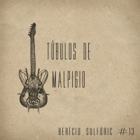 13 - Túbulos de Malpigio