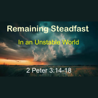 Remaining Steadfast in an Unstable World