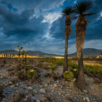 Tehuacán-Cuicatlán como Patrimonio Mundial