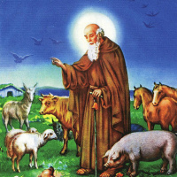 San Antonio Abad, patrono de los animales