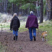 ¡Pasea a tu mascota!