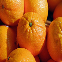 ¿Cuál es el origen de la naranja?