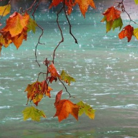 Ona Cultural programa especial de diumenge 18 de novembre de 2018