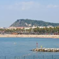 Districte viu - programa 3 - dimarts 4 de febrer de 2020