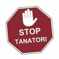 Districte Viu edició especial #StopTanatori a Ona de Sants, diumenge 6 de desembre de 2020