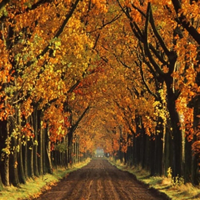 Podcast Ona De Sants-montjuïc