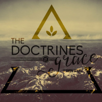 Perseverance of the Saints