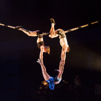 Interview: Matt Wilson