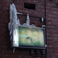 Interview: Jodi Newcombe