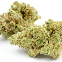 Association of Cannabinoid Administration With Experimental Pain in Healthy Adults