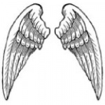 Angelwings - Podcast Med Danske Angel Investorer