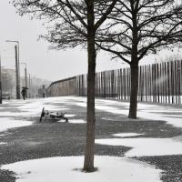 Bis hierher und nicht weiter - Warum wir Grenzen brauchen