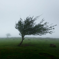 E quando o vento muda? - Pr. Harley Apolônio - Culto da Vitória [07.09.2022]