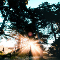 O que fazer para alcançar um milagre? - Pr. Harley Apolônio - Culto da Vitória [10.08.2022]