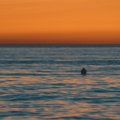 Igreja Batista Moriá