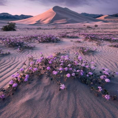 Igreja Batista Moriá