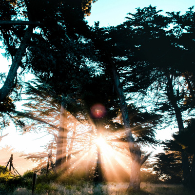 Igreja Batista Moriá