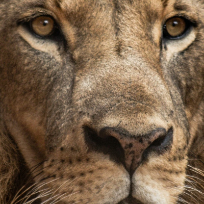 Igreja Batista Moriá