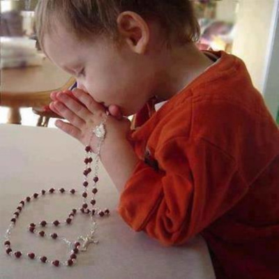 Descargas Predicanet