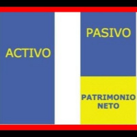 25.- Concepto y Composición del Patrimonio Neto 