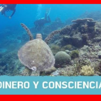 50.- ✔️La importancia de la economía colaborativa y los negocios conscientes | Emprendedor d la Nueva Era