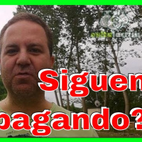 64.- ▷ 14º Comprobante de pago de Freedom! ¿PAGA en 2020? | Network Partner | Ganar Dinero Para Paypal 