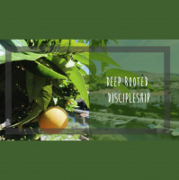 Deep Rooted Discipleship
