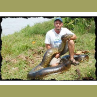 Shawn Heflick from the Python Hunters joins us.