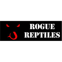 Introducing Morelia python radios new co-host.