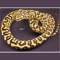 Mike Curtin joins us tonight