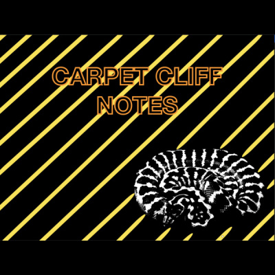 Morelia Pythons Radio