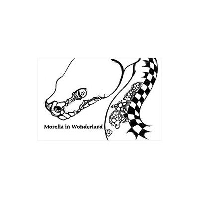 Morelia Pythons Radio