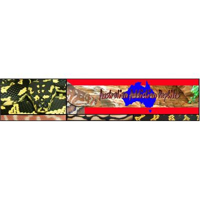 Morelia Pythons Radio