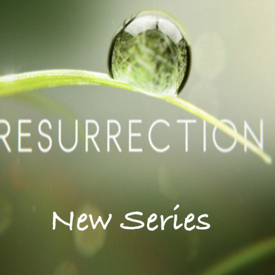 Dr Fanie Briel | Clc