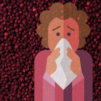 The Neighborhood Sneezes - Hershey Felder