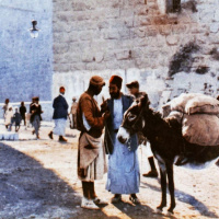 Şerefe: The Culture  Regulation of Alcohol in Turkey with Kyle Evered